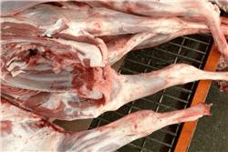 Organic Lamb