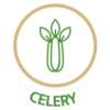 Allergens - Celery
